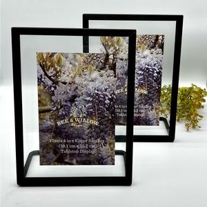 Bee & Willow Floating Picture Frame Set of 2